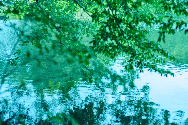 過ごし方の写真