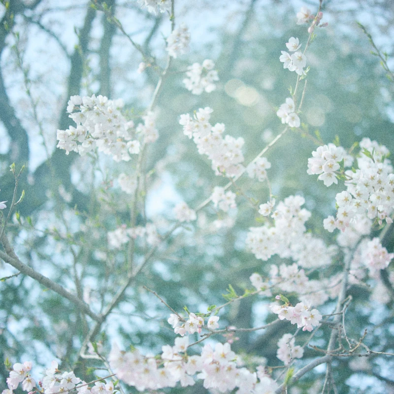 ミヤムのお部屋