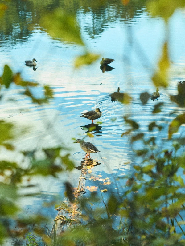 プチセラピーの様子